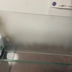 ADA 60㎝フレームレス水槽の画像