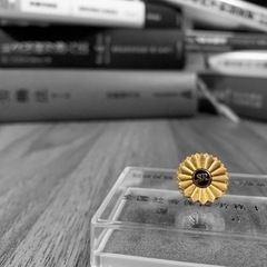 【社労士】受験勉強のサポートします