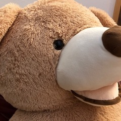 特大くまのぬいぐるみの画像