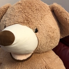 特大くまのぬいぐるみの画像