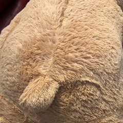 特大くまのぬいぐるみの画像