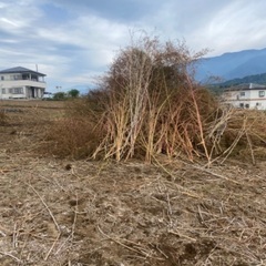 非常に安い価格の草刈り、造園、畑の掃除 − 山梨県