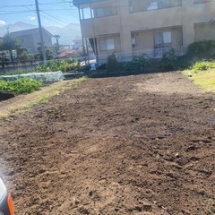 非常に安い価格の草刈り、造園、畑の掃除 - 剪定/造園