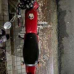 HONDA エイプ50 