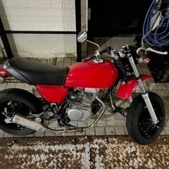HONDA エイプ50 の画像