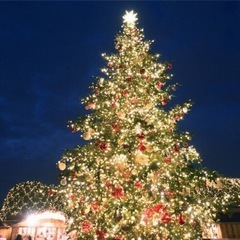 クリスマス🎄ホームパーティ
