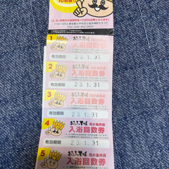 おふろの王様 ～志木店 ～入浴回数券 ～無期限 ～有効期限無し