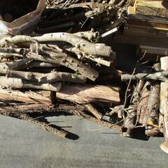★売却済み★木　薪　最近切断した生木　の画像