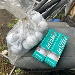 ゴルフボールあげます