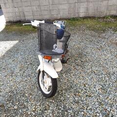 SUZUKIスーパーモレ　一応エンジンはかかったレストアベース