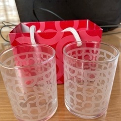 コーチ（coach）ペアグラス【限定品】