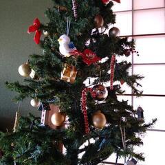 クリスマスツリーの画像