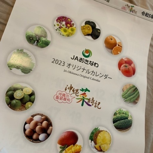 南琴奈 非売品 未使用 2023年カレンダー ディー・オー・エス