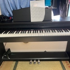 206R 名古屋帯紫根木綿継ぎ有りDZ
