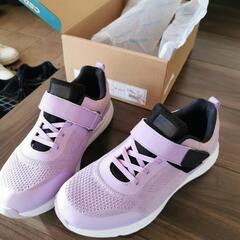 セダークレスト　スニーカー　24.0cm　女の子