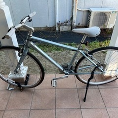 限定カラー　トレックFX リミテッド　説明書付き