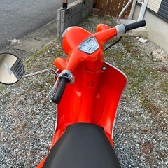 綺麗・かわいい・2スト　ジョルノ♪の画像