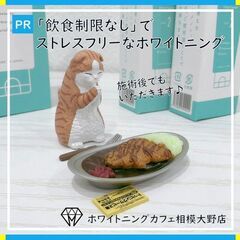相模大野にセルフホワイトニングサロン「ホワイトニングカフェ相模大野店」がOPEN！！ - 相模原市