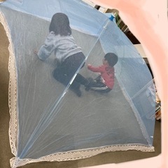 蚊帳　最終値下げ
