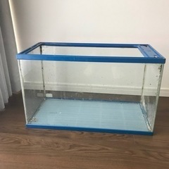 水槽(60リットルくらい)