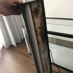 照明付き60リットル水槽の画像