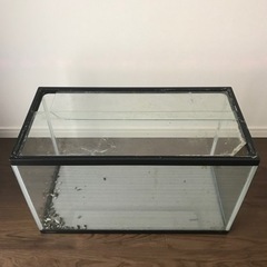 照明付き60リットル水槽の画像