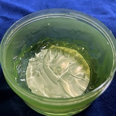 【受付終了致しました】アロエベラの画像