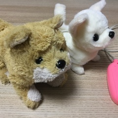 イワヤ　リモコンでおさんぽぬいぐるみキャンキャンチワワの画像