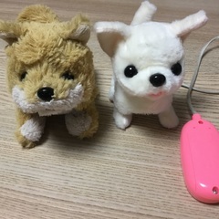 イワヤ　リモコンでおさんぽぬいぐるみキャンキャンチワワ