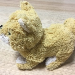 イワヤ　リモコンでおさんぽぬいぐるみキャンキャンチワワの画像