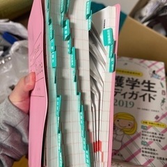 看護学生 スタディガイドの画像