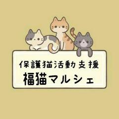 第4回 保護猫支援活動チャリティーマルシェ開催 - その他