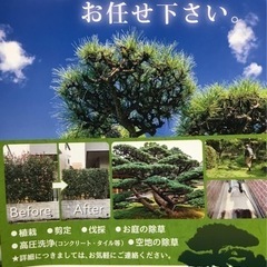剪定、伐採、除草