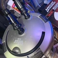 水槽セット売りの画像