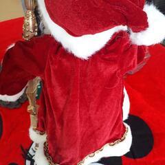 サンタクロースの画像