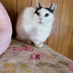ずっと一緒がいいな。 - 東大和市