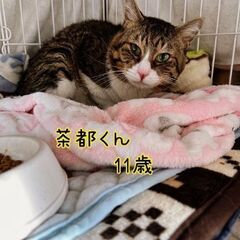ずっと一緒がいいな。 − 東京都