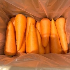 農家直送!!にんじん1.2kg300円!!500g150円!!