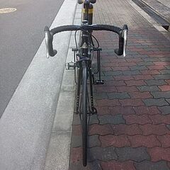 🚴マリン ヴィネツィアの画像