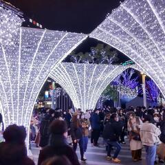 作業スタッフ急募！！の画像
