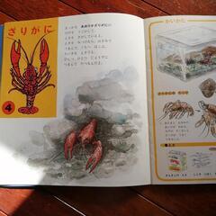 お話し中★幼稚園児用絵本の画像