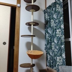 キャットタワー　