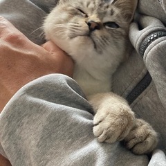 トライアル予定です。一旦募集を中止します。