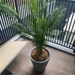 人工観葉植物　フェイクグリーンの画像