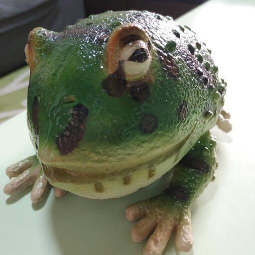 リアルです