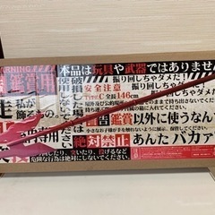 エヴァンゲリオン　カシウスの槍