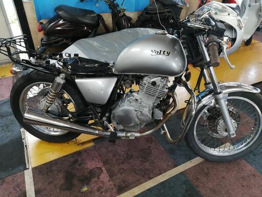 🌿ボルティー250❗🌿