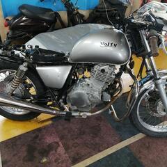🌿ボルティー250❗🌿