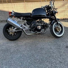 ゴリラ50の画像