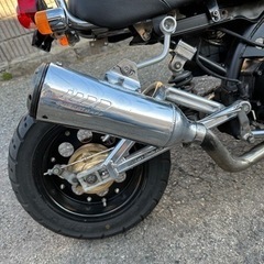 ゴリラ50の画像
